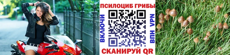 Псилоцибиновые грибы прущие грибы  сколько стоит  Новоаннинский 