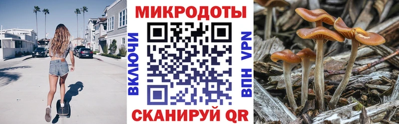 Галлюциногенные грибы мицелий Новоаннинский